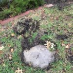 Water leaks under house detection Melbourne