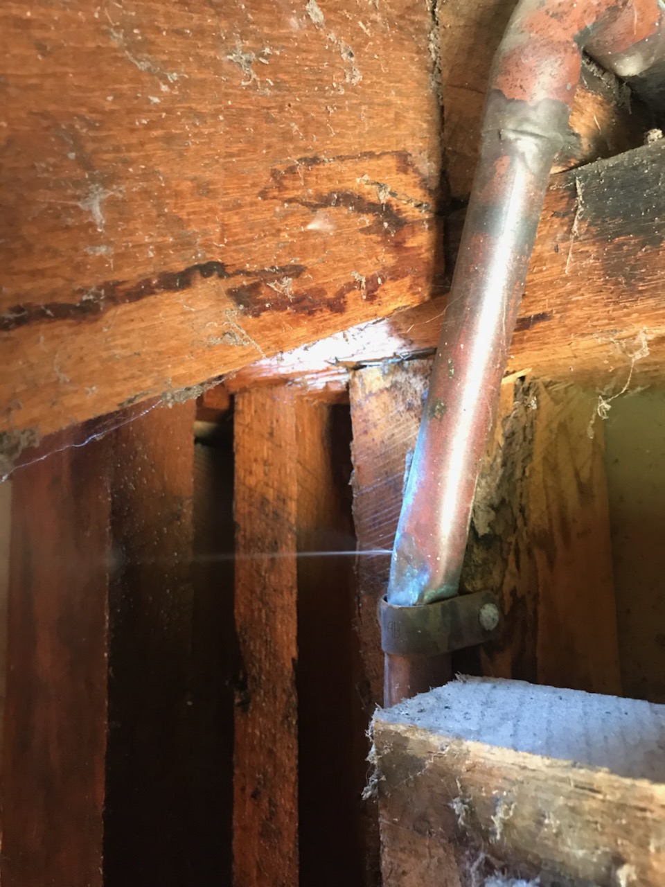 water-leak-in-house-melbourne-water-gas-leak-detection